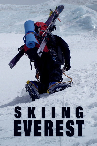 Póster de Skiing Everest
