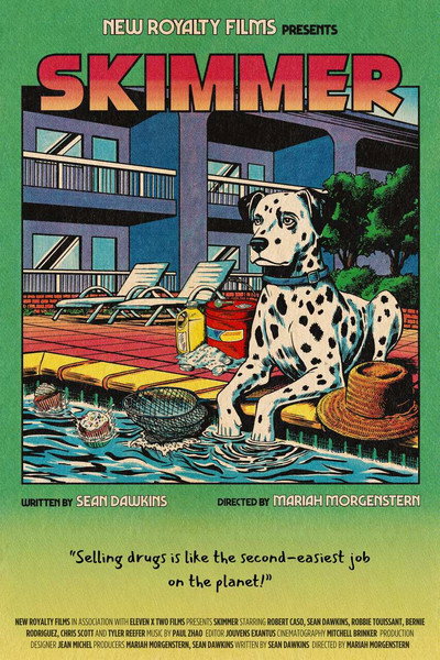 Póster de Skimmer