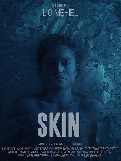 Póster de Skin