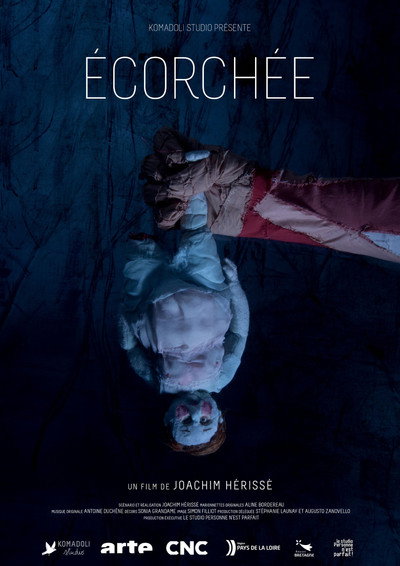 Póster de Skinned