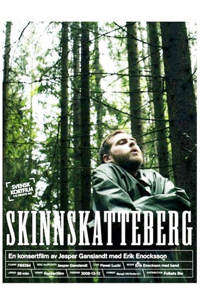 Póster de Skinnskatteberg