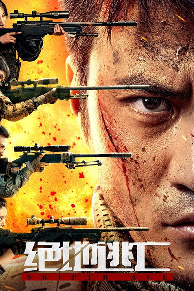 Póster de Skiptrace