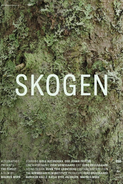 Póster de Skogen
