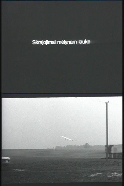 Póster de Skrajojimai melynam lauke