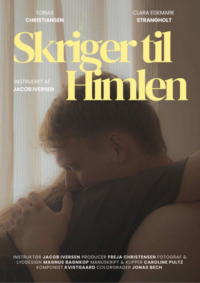 Póster de Skriger til Himlen