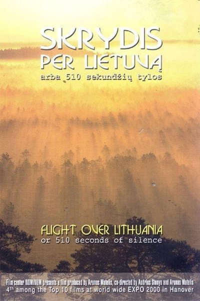 Póster de Skrydis per Lietuva arba 510 sekundziu tylos