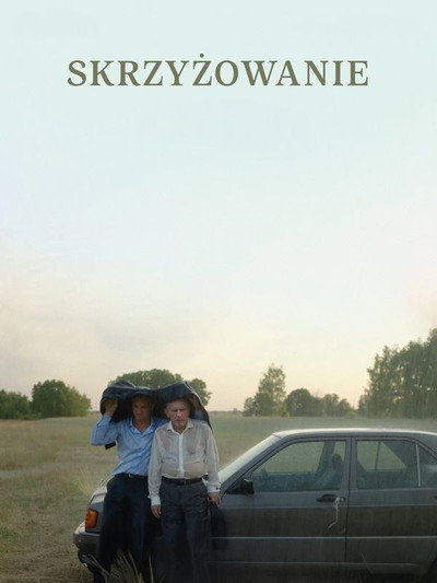 Póster de Skrzyzowanie