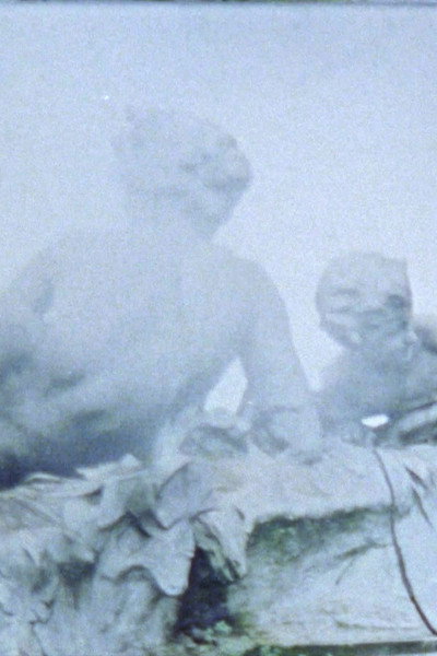 Póster de Skulpturen im Nebel