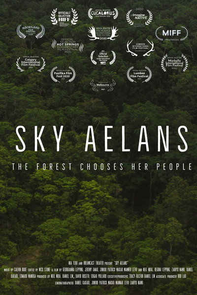 Póster de Sky Aelans