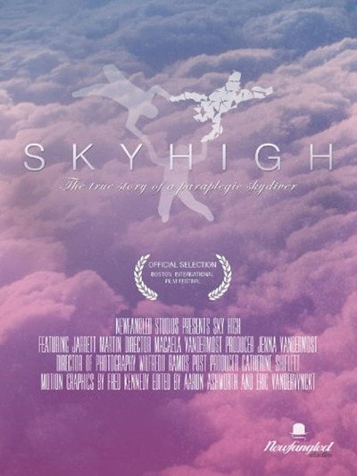 Póster de Sky High