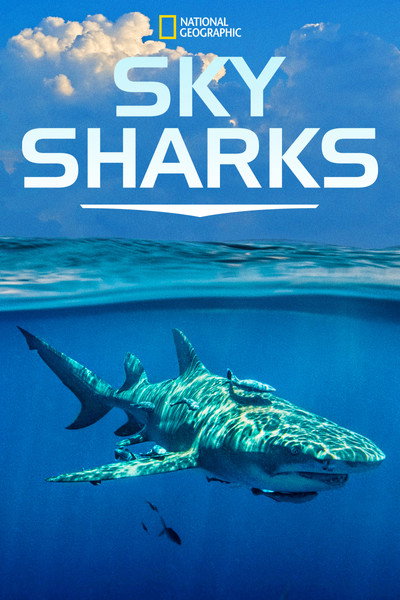 Póster de Sky Sharks
