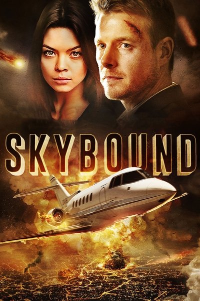 Póster de Skybound