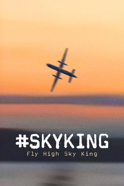Póster de #Skyking