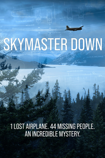 Póster de Skymaster Down