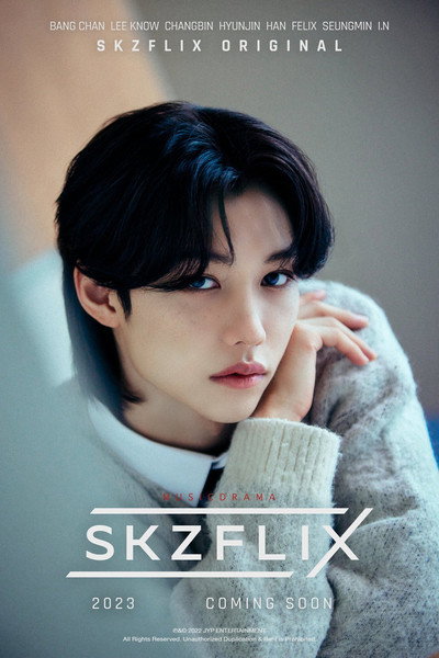 Póster de SKZFLIX