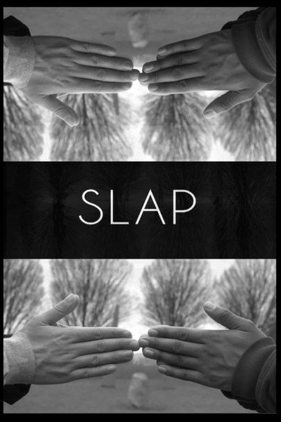 Póster de Slap