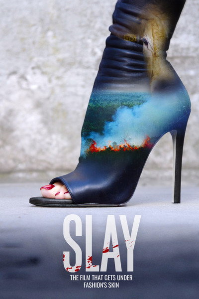 Póster de Slay