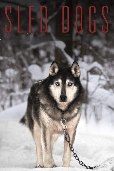 Póster de Sled Dogs