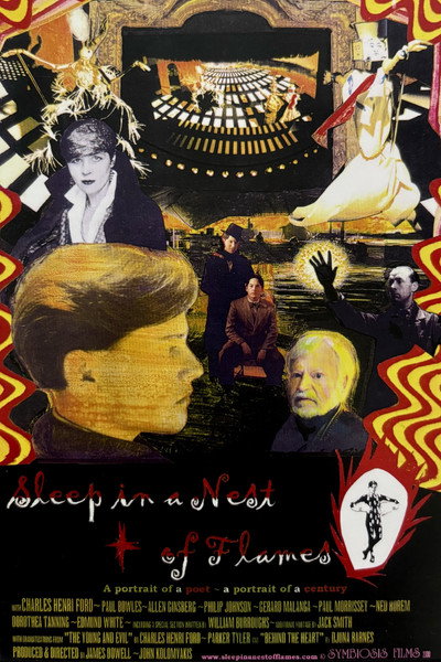Póster de Sleep in a Nest of Flames