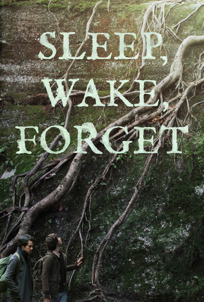 Póster de Sleep, Wake, Forget