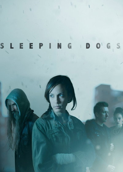 Póster de Sleeping Dogs