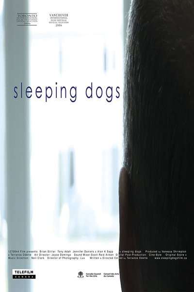 Póster de Sleeping Dogs