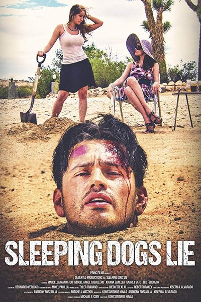 Póster de Sleeping Dogs Lie