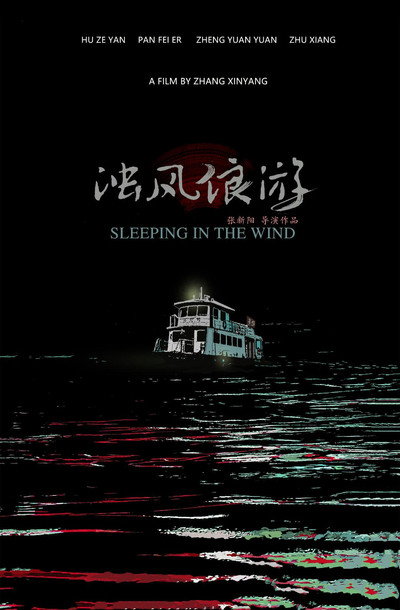 Póster de Sleeping in the Wind