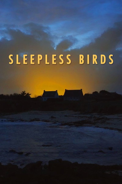 Póster de Sleepless Birds