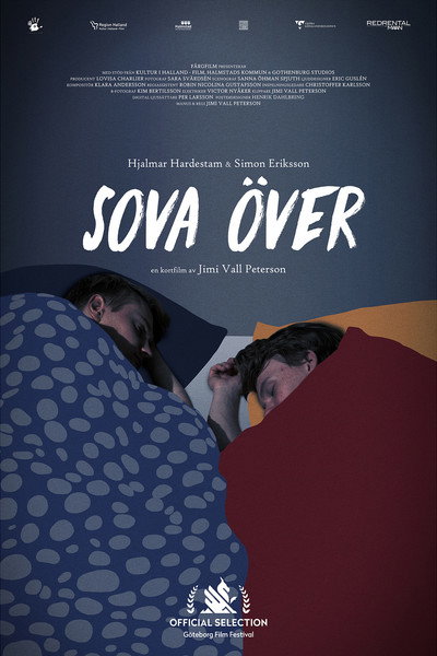 Póster de Sleepover