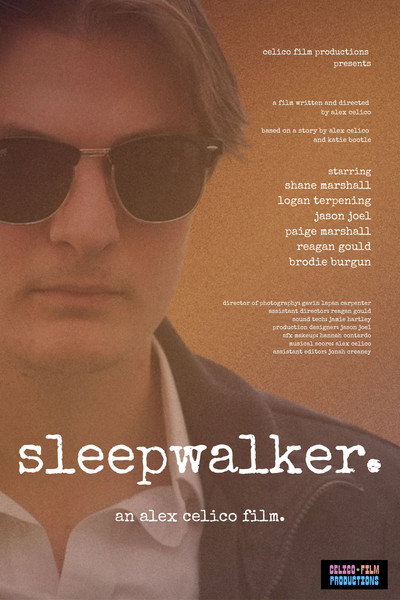Póster de Sleepwalker