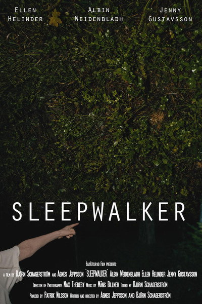 Póster de Sleepwalker