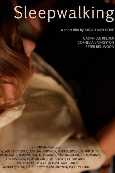 Póster de Sleepwalking