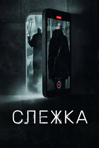 Póster de Slezhka