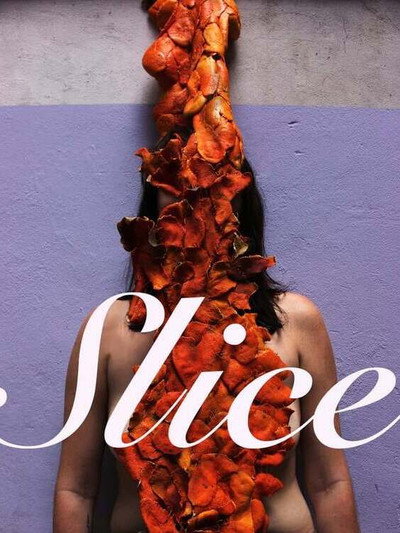 Póster de Slice
