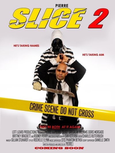 Póster de Slice 2
