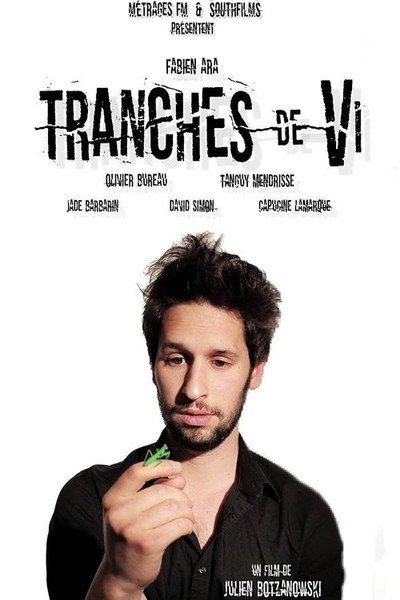 Póster de Slices of Vi