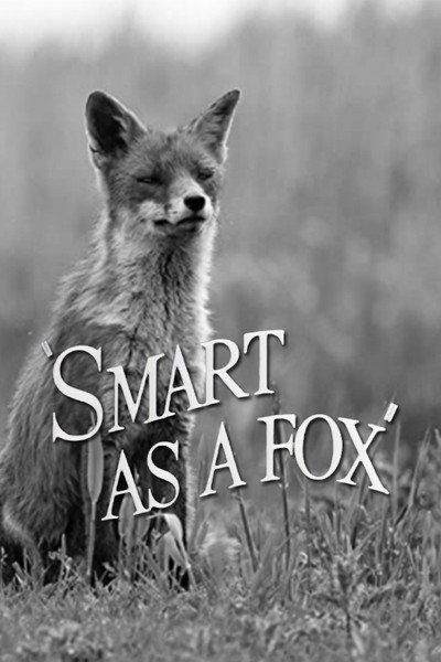 Póster de Smart as a Fox