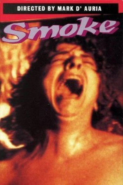 Póster de Smoke