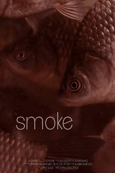 Póster de Smoke
