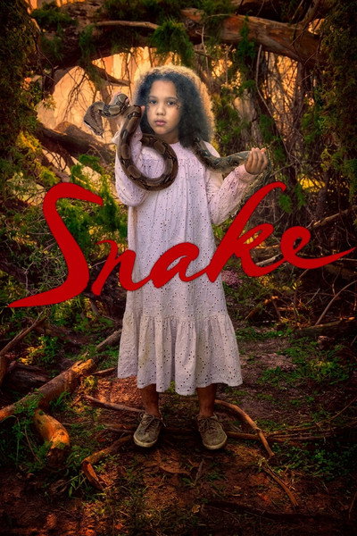 Póster de Snake