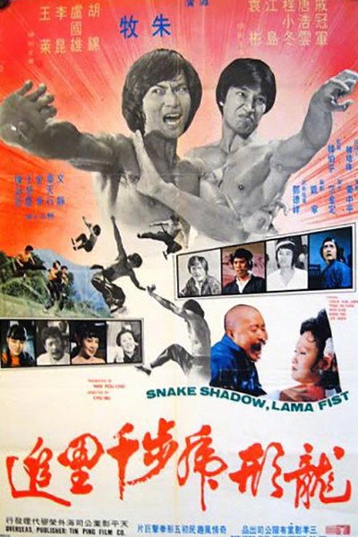 Póster de Snake Shadow Lama Fist