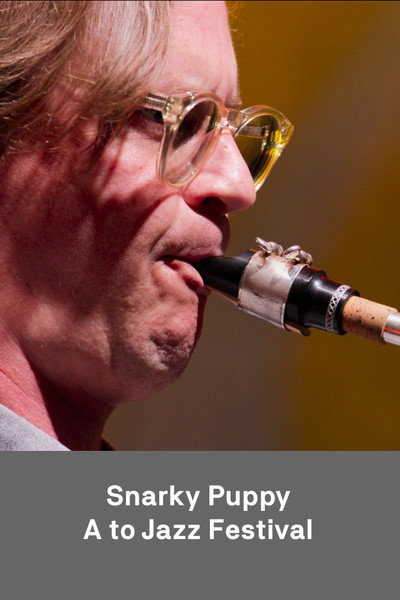 Póster de Snarky Puppy live at A to Jazz