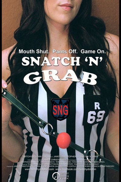 Póster de Snatch 'n' Grab