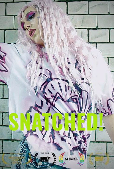 Póster de Snatched!