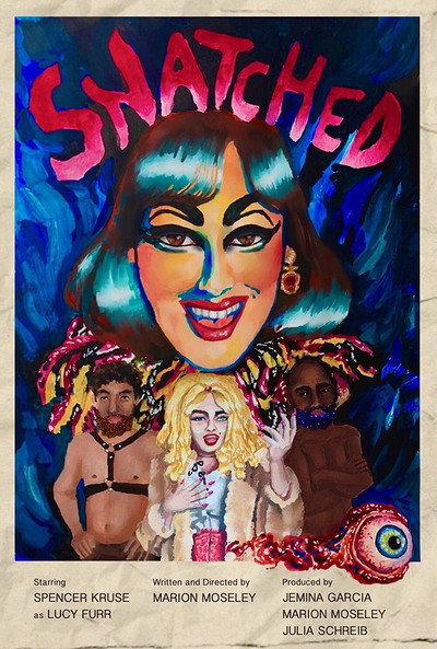 Póster de Snatched