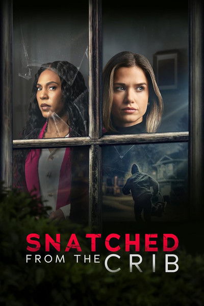 Póster de Snatched from the Crib