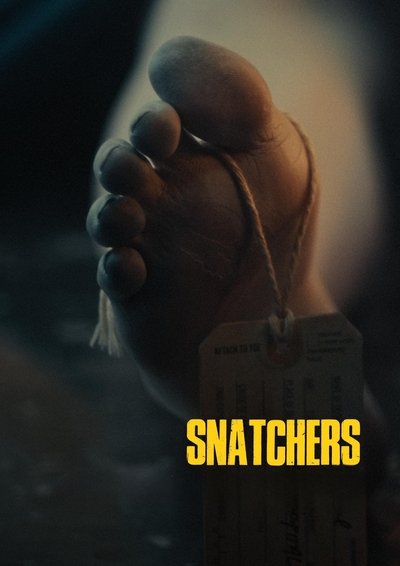 Póster de Snatchers