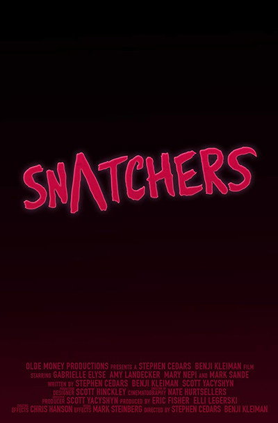 Póster de Snatchers