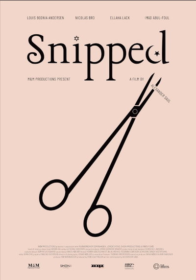 Póster de Snipped